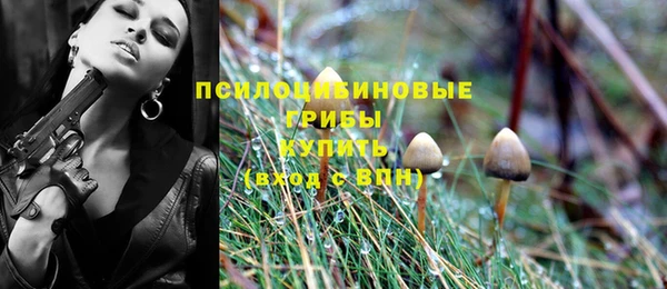 дурь Абаза