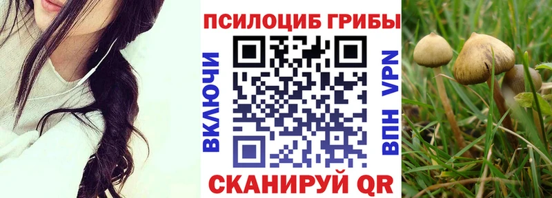 Галлюциногенные грибы мицелий Камень-на-Оби