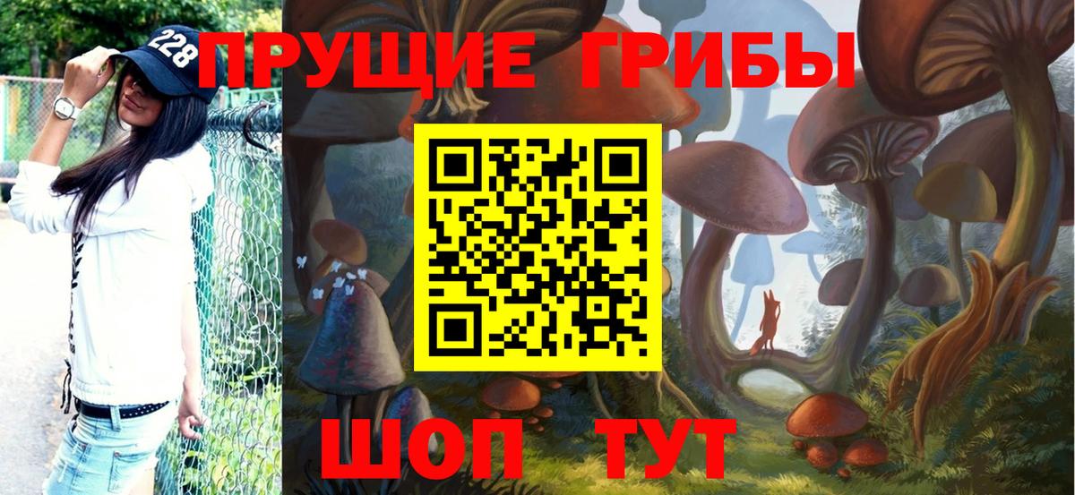 Галлюциногенные грибы Psilocybine cubensis Камень-на-Оби