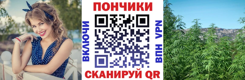 Бошки Шишки Ganja  что такое наркотик  Камень-на-Оби 